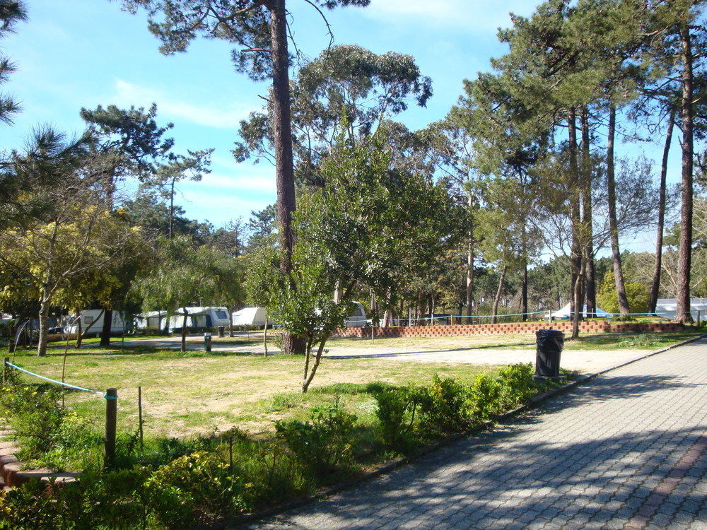 Parque De Campismo Orbitur Caminha Hotel ภายนอก รูปภาพ